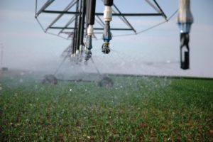 Irrigation stock image