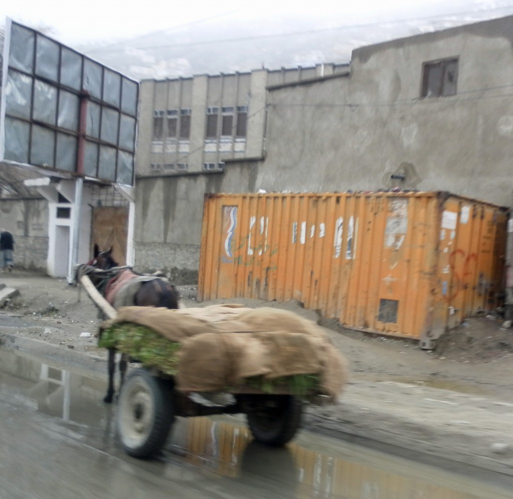 Carts in Kabul