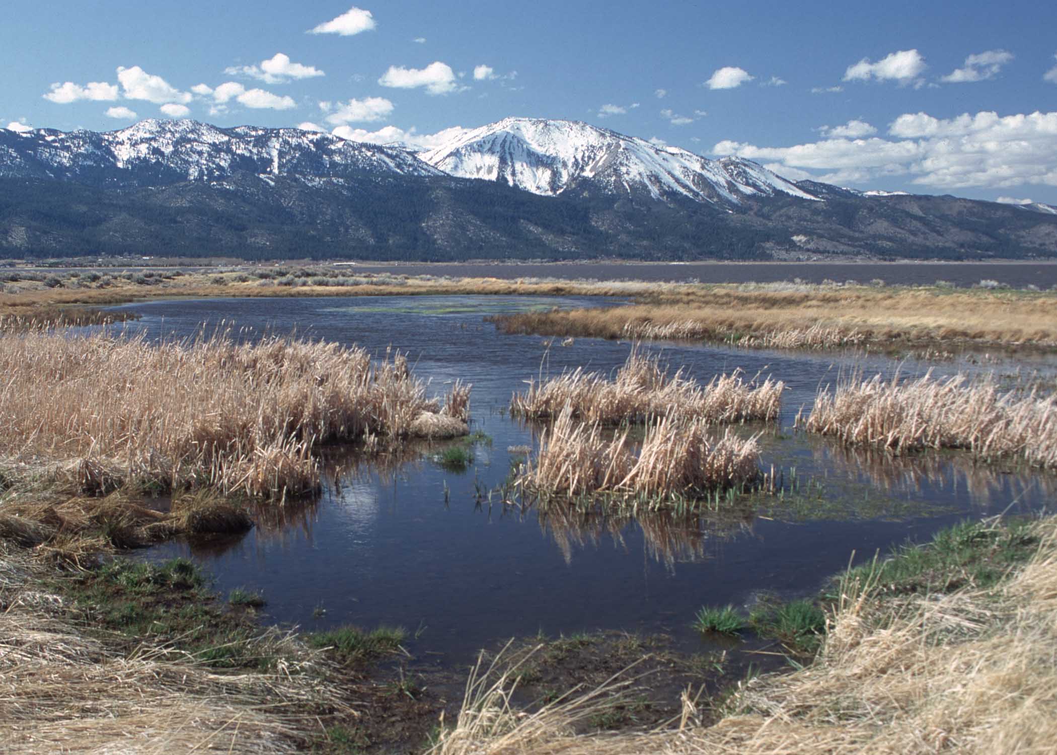 The lake state. Озеро Мамры. Озеро Мверу. Государственный парк Washoe Lake. Рыбы озера Титикака.