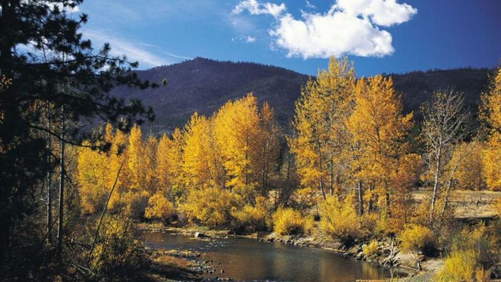 (Image source: https://travelnevada.com/discover/26065/truckee-river)